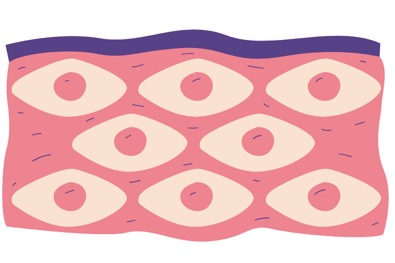 「免疫の兵隊」NK細胞が元気になる