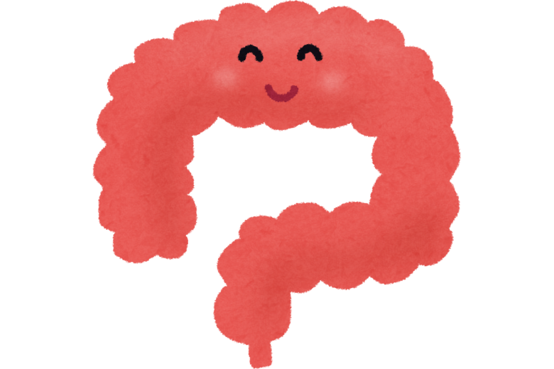 腸内環境との関係