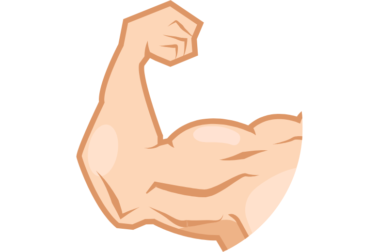 ■ 上腕二頭筋とはどのような筋肉か