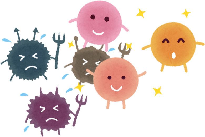 第３位：「細菌」でがんを治す？