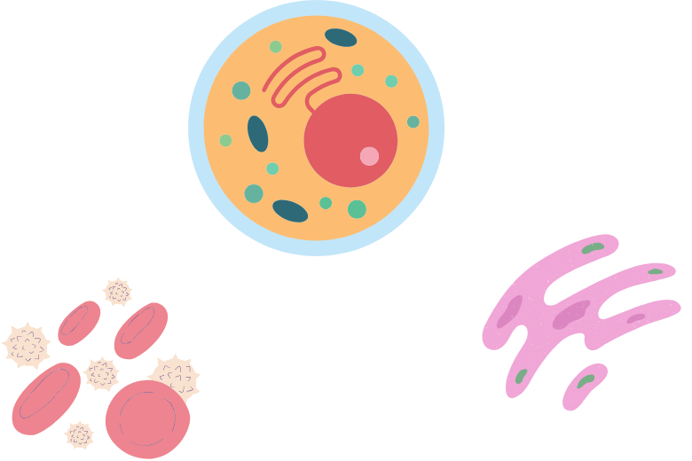 がんを攻撃！NK細胞を元気にする生活習慣