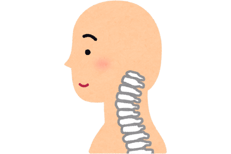 首（頸椎）の動き