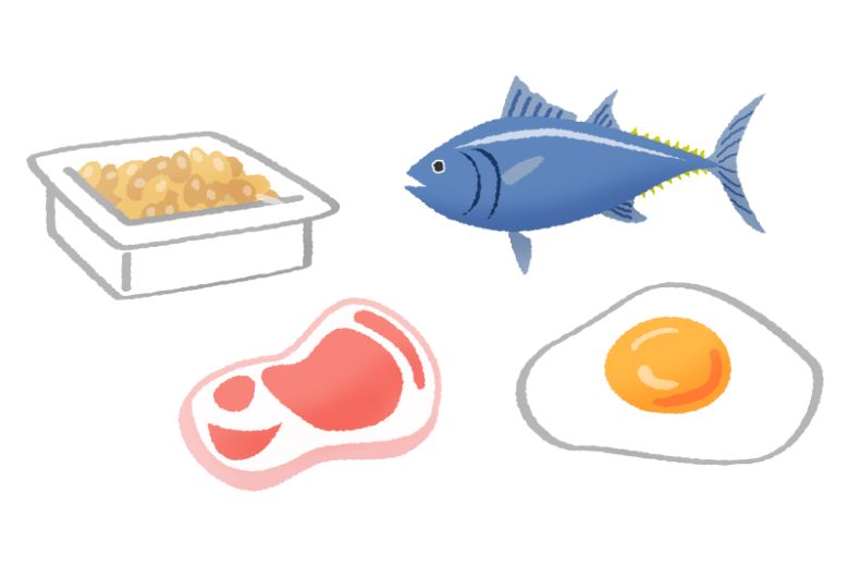 たんぱく質とはどんな栄養素？