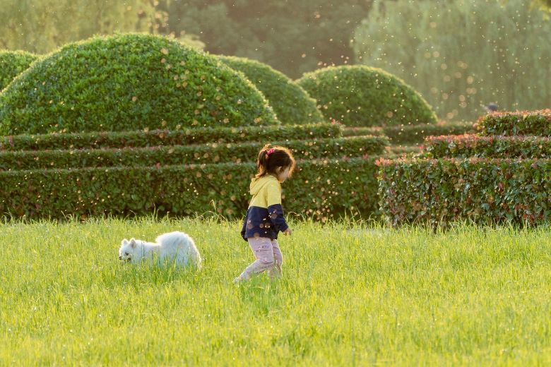 若い世代に増える「がん」