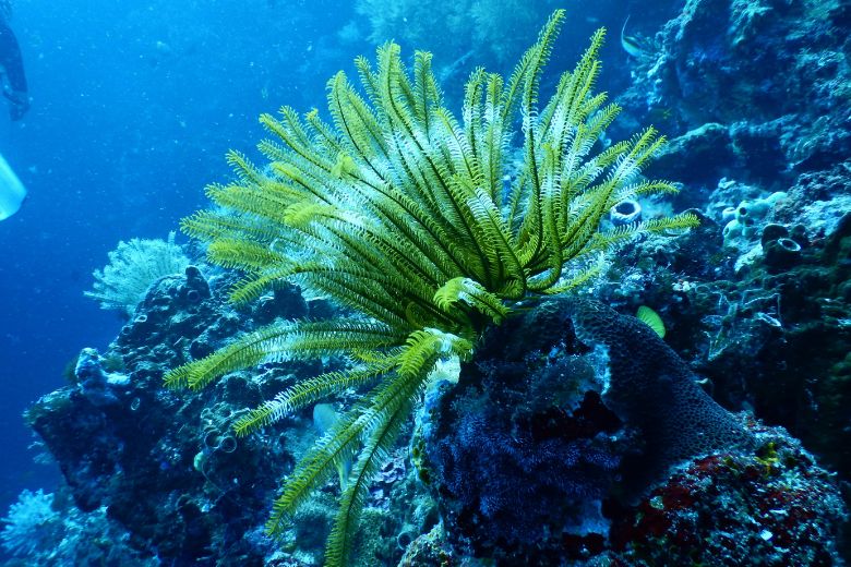 ■ 疲労感や筋肉の減少にも関係？