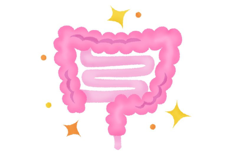 がんに備える最強の武器3つ ― 筋肉・腸内細菌・お金 ―