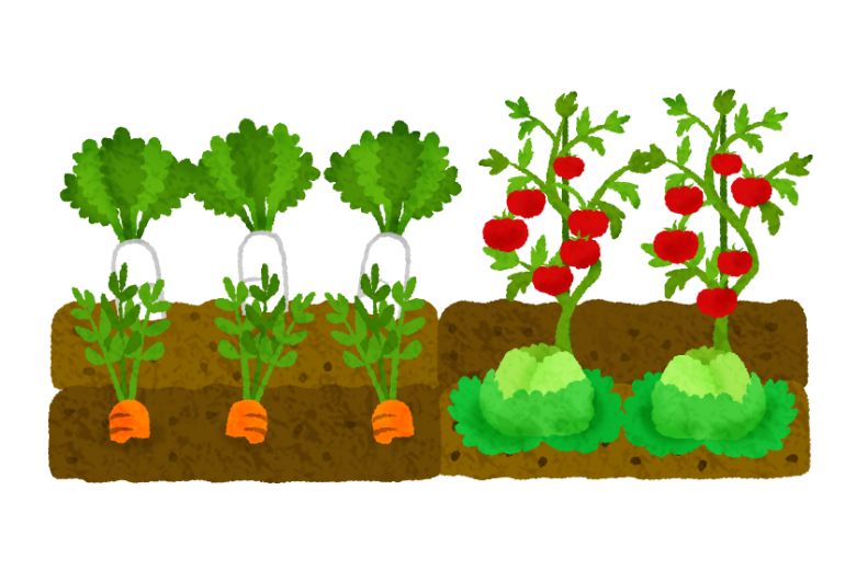 野菜・フルーツの残留農薬と健康への影響