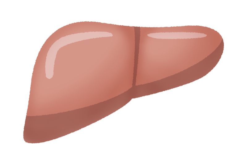 がん手術で臓器を切除する場合、体への影響はどうなるのか？