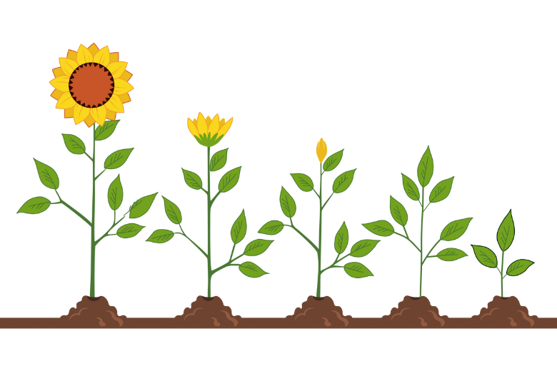 FaceAgeは余命をどこまで予測できるのか