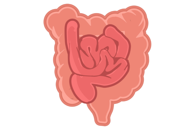 ■ 人工甘味料は腸内で何を起こすのか？