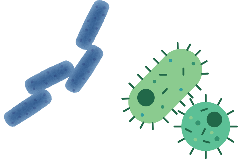 ■ がんの種類によって異なる「腫瘍内細菌」
