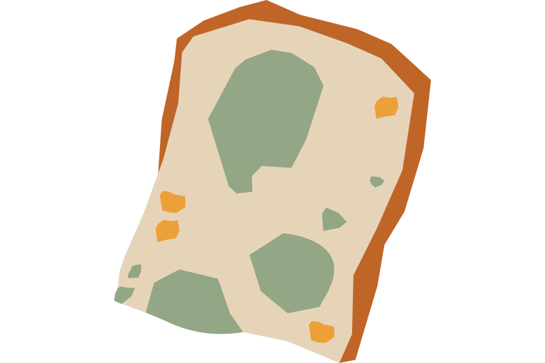 ■1つ目の主張：がんは真菌（カビ）が原因で起こる？