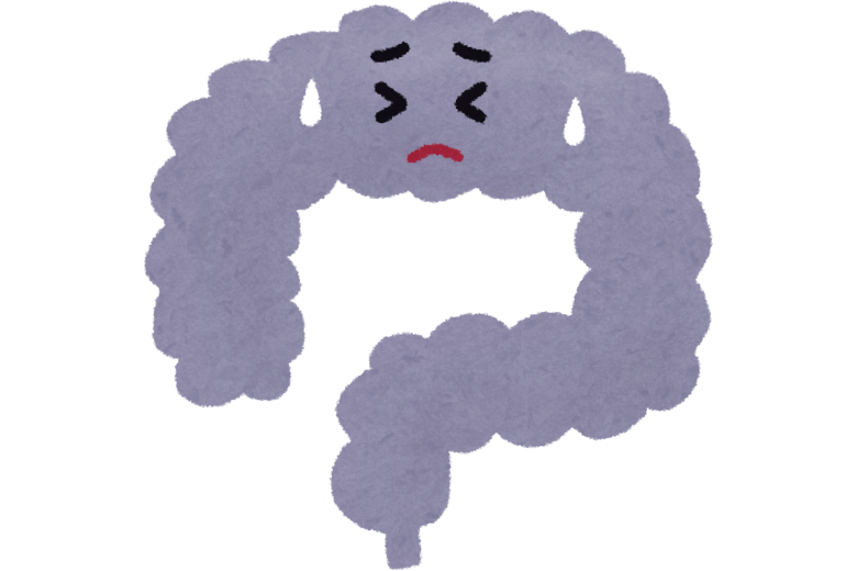 食べ物で腸が詰まった実例