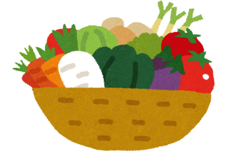 4．果物と野菜、食物繊維