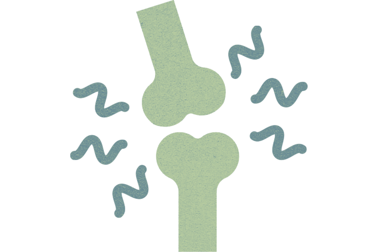 関節の音の正体とは？