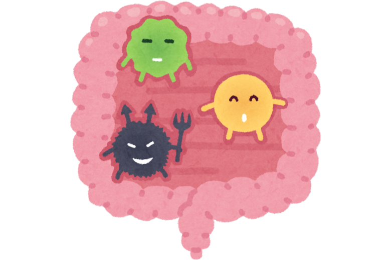 腸と筋肉――無関係に思えるふたつの臓器