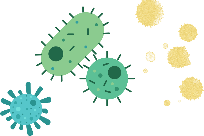 がん内部の細菌 ― 見つかった場所はどこ？
