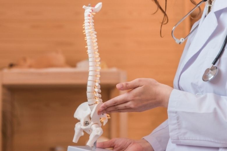 ■ 梨状筋とは？——股関節の“外旋”を担う深部筋