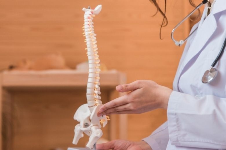 ■ 首の後ろにある「項靭帯」とはどんな靭帯？