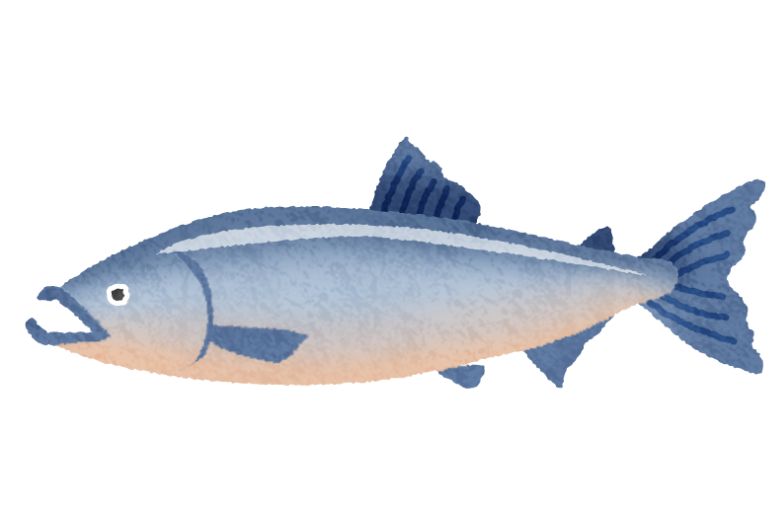 がん患者さんにすすめたい海洋性オメガ3脂肪酸──研究が示す「生存率改善」の可能性