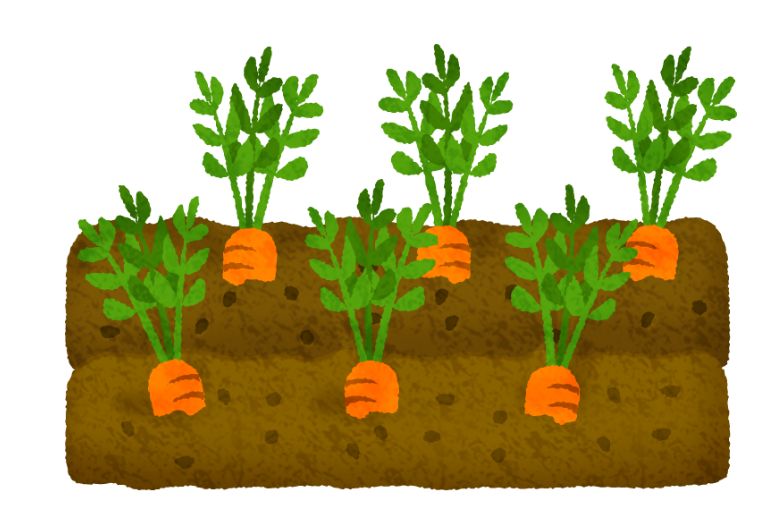 オーガニック食品でがんのリスクは減るのか？