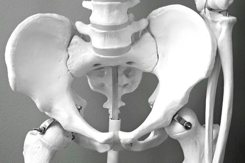 ■ 股関節とはどんなところ？