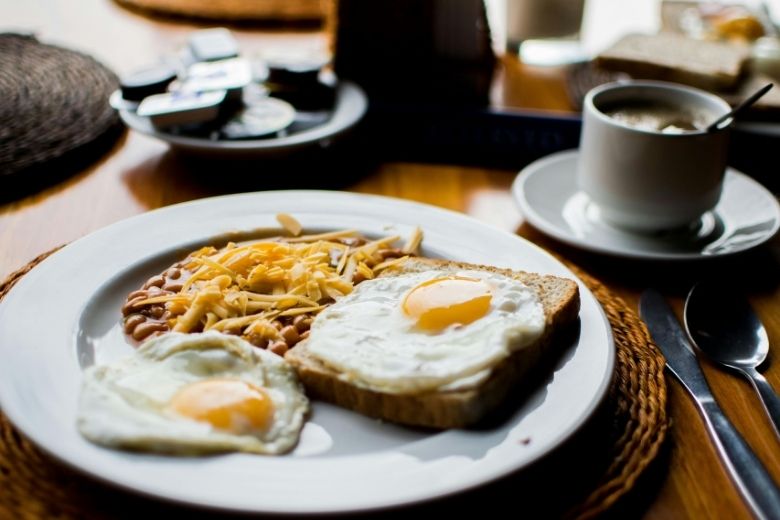 ■ まとめ：食べない“時間”が、体を守る