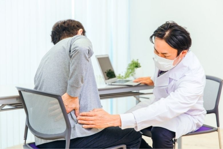 ■ まとめ：坐骨神経を理解すると、身体の見え方が変わる