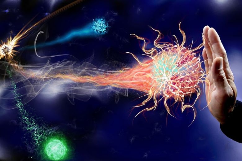 NK細胞とは？―がん細胞を“見つけて即攻撃”する体の最前線部隊