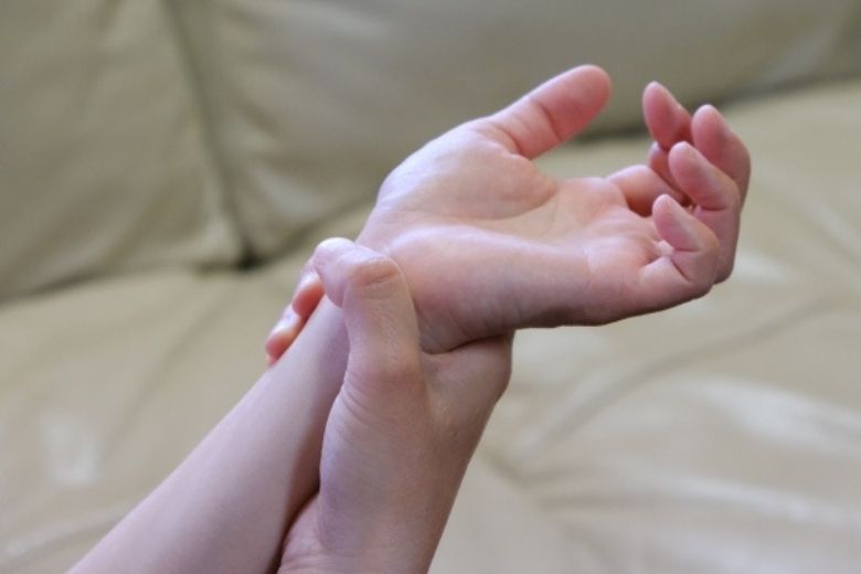 ■ 二つの筋頭は肘の直前で一つにまとまる