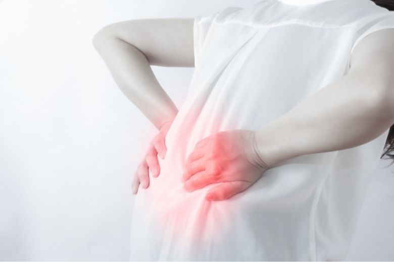 １．腰椎と周囲の構造を理解する