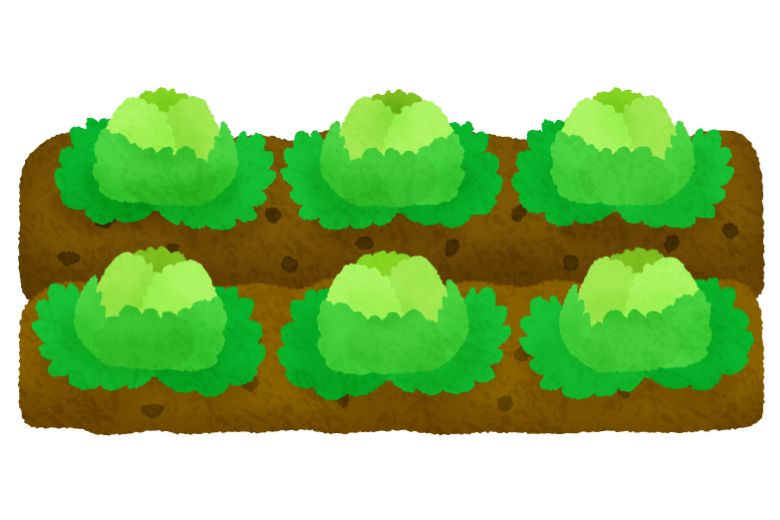 まとめ 〜「無理のないオーガニック生活」を〜