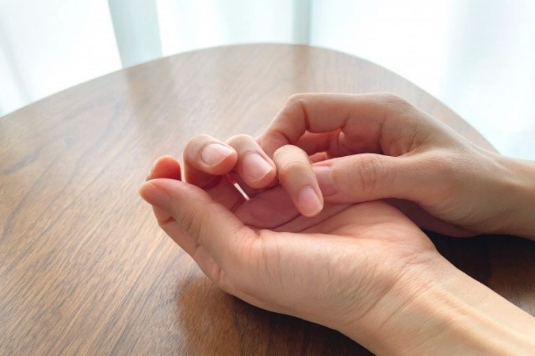 手と前腕をつくる骨の構造