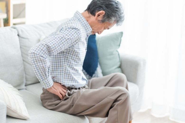 ■腰椎の構造と脊柱管の役割