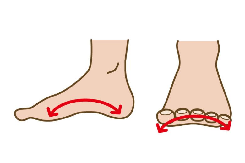 足の構造とアーチの崩れ