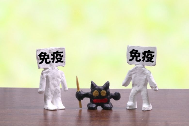 がん治療と免疫の関わりは、昔から知られていた