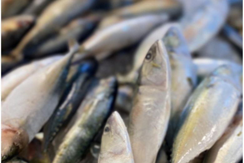 特徴⑤　ビタミンDが不足している