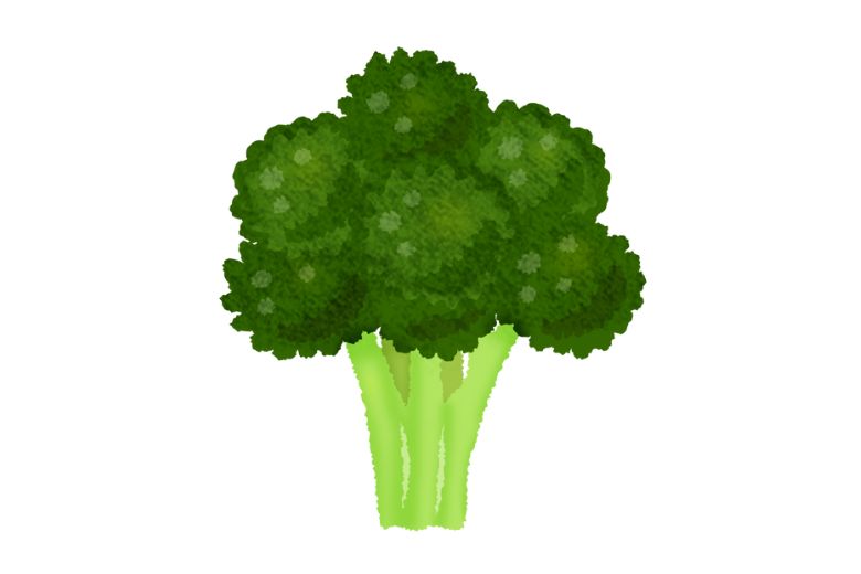 がんの「親玉」をねらう5つのサプリメント