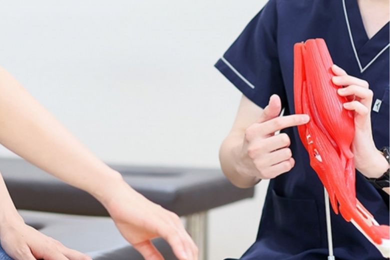 筋紡錘 ― 筋肉のセンサー